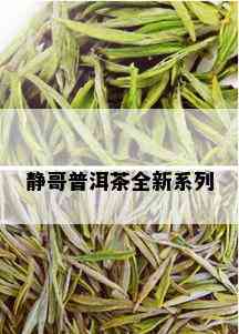 静哥普洱茶全新系列