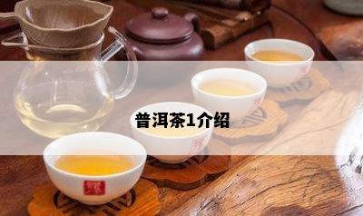 普洱茶1介绍