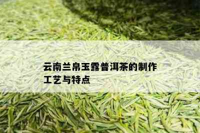 云南兰帛玉露普洱茶的制作工艺与特点