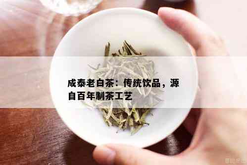 成泰老白茶：传统饮品，源自百年制茶工艺