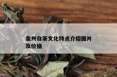 泉州白茶文化特点介绍图片及价格