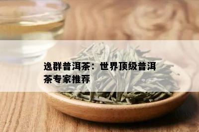 逸群普洱茶：世界顶级普洱茶专家推荐