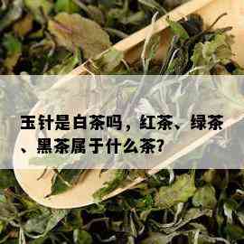 玉针是白茶吗，红茶、绿茶、黑茶属于什么茶？