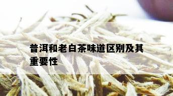 普洱和老白茶味道区别及其重要性