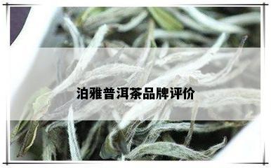 泊雅普洱茶品牌评价