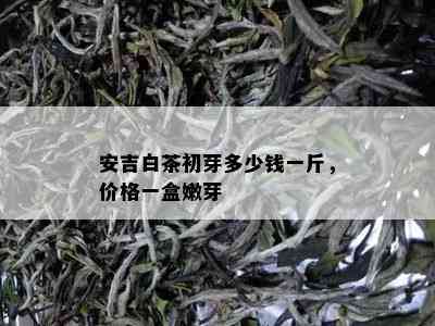 安吉白茶初芽多少钱一斤，价格一盒嫩芽