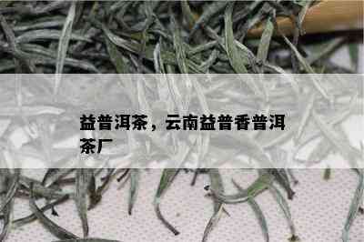 益普洱茶，云南益普香普洱茶厂