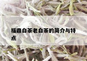 福鼎白茶老白茶的简介与特点