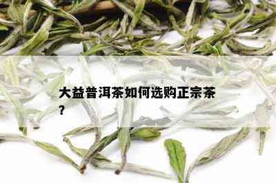 大益普洱茶如何选购正宗茶？