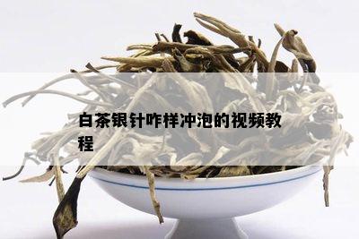 白茶银针咋样冲泡的视频教程