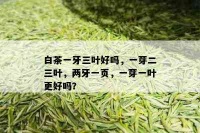 白茶一牙三叶好吗，一芽二三叶，两牙一页，一芽一叶更好吗？