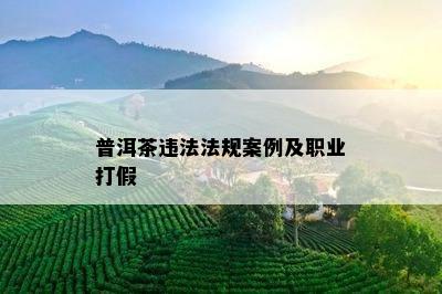 普洱茶违法法规案例及职业打假