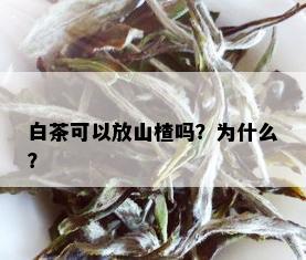 白茶可以放山楂吗？为什么？