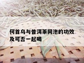 何首乌与普洱茶同泡的功效及可否一起喝