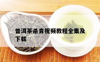 普洱茶杀青视频教程全集及下载