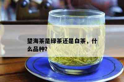 望海茶是绿茶还是白茶，什么品种？