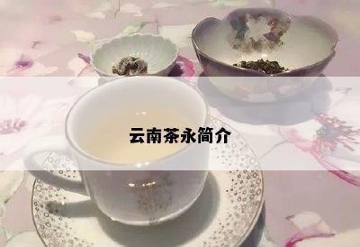 云南茶永简介