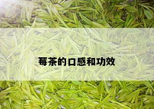 莓茶的口感和功效