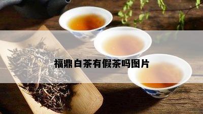 福鼎白茶有假茶吗图片