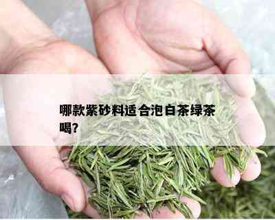 哪款紫砂料适合泡白茶绿茶喝？