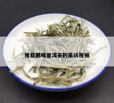 豫亚鹏喝普洱茶的采访视频