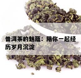 普洱茶的魅蕴：陪你一起经历岁月沉淀