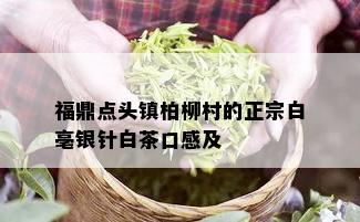 福鼎点头镇柏柳村的正宗白亳银针白茶口感及