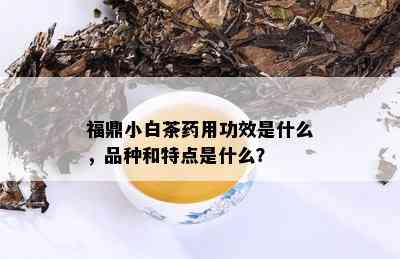 福鼎小白茶用功效是什么，品种和特点是什么？