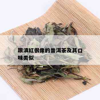 跟滇红很像的普洱茶及其口味类似