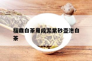 福鼎白茶用段泥紫砂壶泡白茶