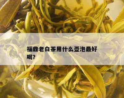 福鼎老白茶用什么壶泡更好喝？