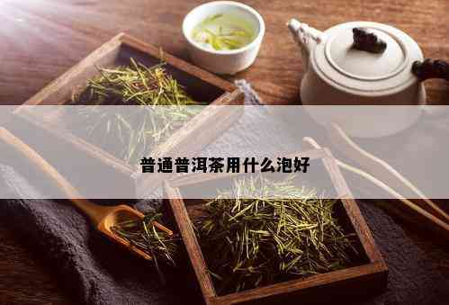 普通普洱茶用什么泡好