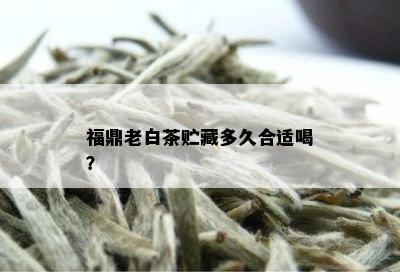 福鼎老白茶贮藏多久合适喝？