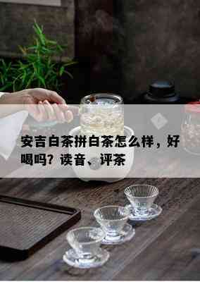 安吉白茶拼白茶怎么样，好喝吗？读音、评茶