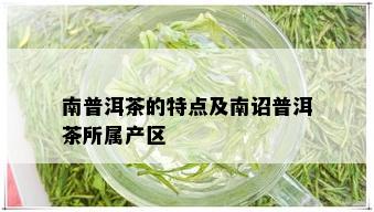 南普洱茶的特点及南诏普洱茶所属产区