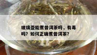 玻璃壶能煮普洱茶吗，有吗？如何正确煮普洱茶？