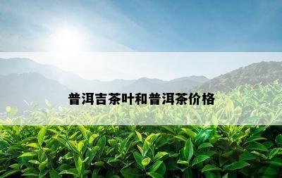 普洱吉茶叶和普洱茶价格