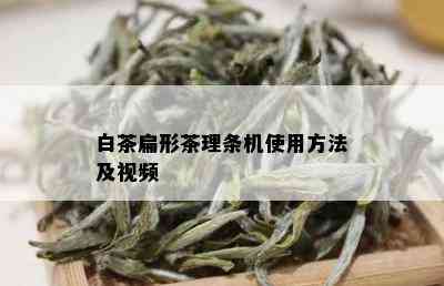 白茶扁形茶理条机使用方法及视频