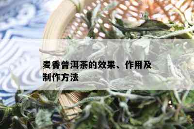 麦香普洱茶的效果、作用及制作方法