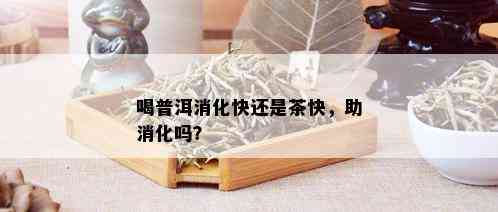 喝普洱消化快还是茶快，助消化吗？