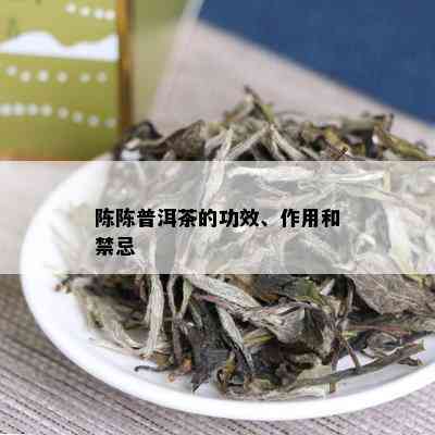 陈陈普洱茶的功效、作用和禁忌