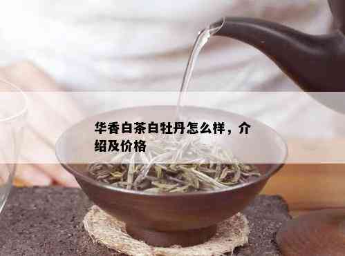 华香白茶白牡丹怎么样，介绍及价格