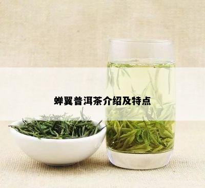 蝉翼普洱茶介绍及特点