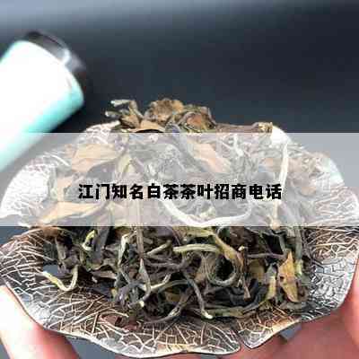 江门知名白茶茶叶招商电话