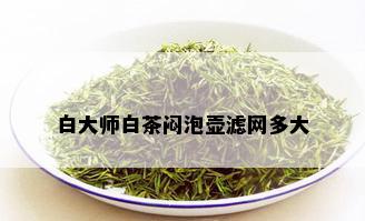 白大师白茶闷泡壶滤网多大