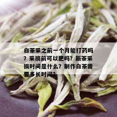 白茶采之前一个月能打吗？采摘前可以肥吗？新茶采摘时间是什么？制作白茶需要多长时间？