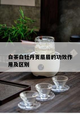 白茶白牡丹页眉眉的功效作用及区别