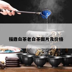 福鼎白茶老白茶图片及价格