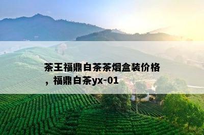 茶王福鼎白茶茶盒装价格，福鼎白茶yx-01