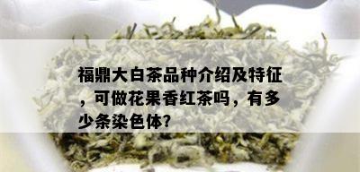 福鼎大白茶品种介绍及特征，可做花果香红茶吗，有多少条染色体？